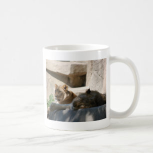 African Lions Coffee Mug