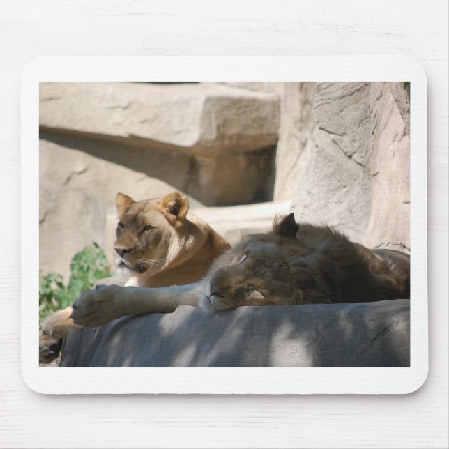 African Lions Mouse Mat (Front)