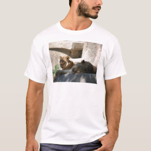 African Lions T-Shirt