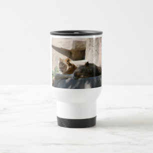 African Lions Travel Mug
