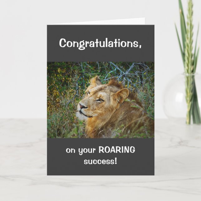 African male lion congratulations roaring success card (Front)