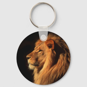 African Male Lion Photographed by Steven Holt Key Ring