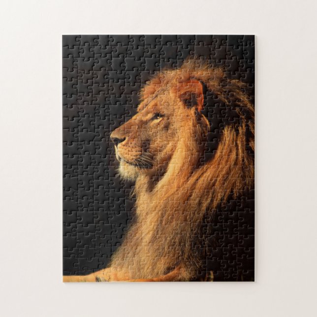 African Male Lion; Wildlife Puzzles by Steven Holt (Vertical)