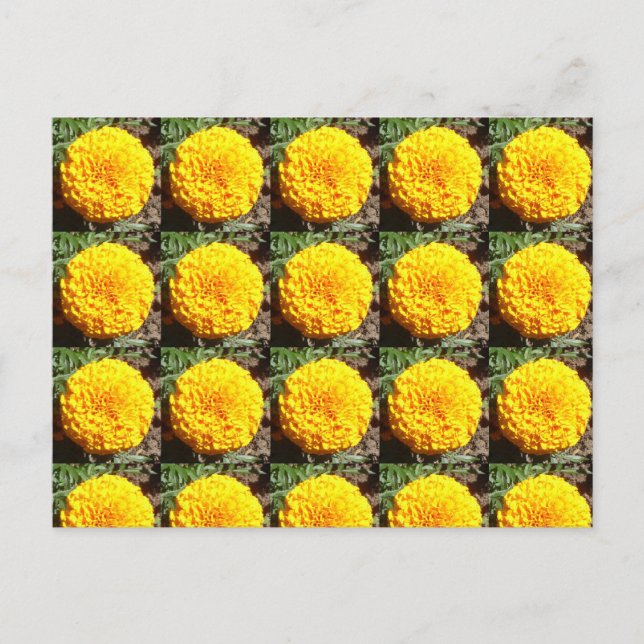 African Marigolds Pattern Postcard (Front)