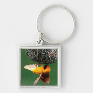 African Masked-Weaver (Ploceus Velatus) Key Ring