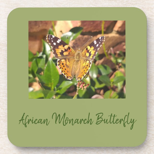 African Monarch Butterfly Coaster (Front)