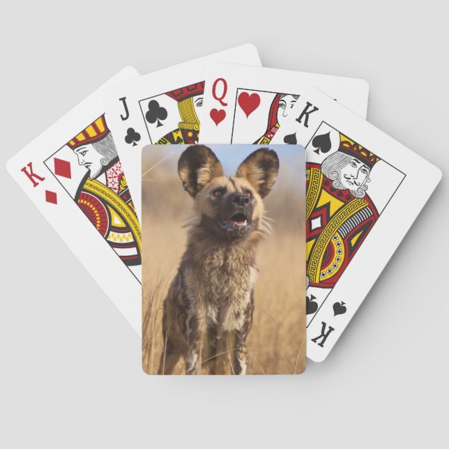 African Painted Wild Dog Playing Cards (Back)
