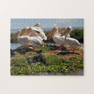 African Pelican Jigsaw Puzzle