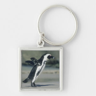 African Penguin Key Ring