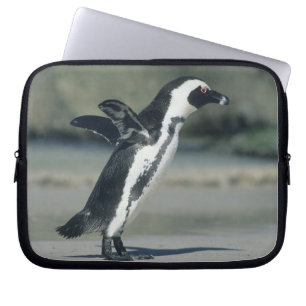 African Penguin Laptop Sleeve