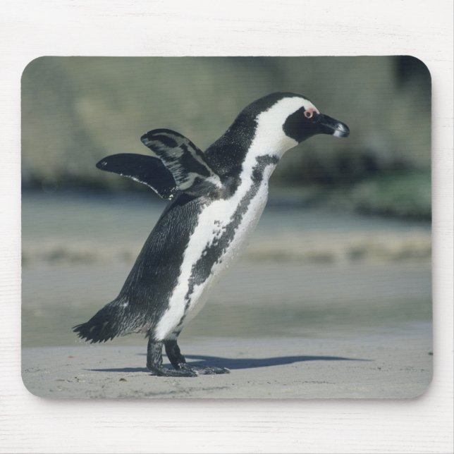 African Penguin Mouse Mat (Front)