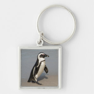 African Penguin Walking Key Ring