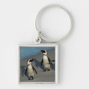 African Penguins Spheniscus Demersus Key Ring