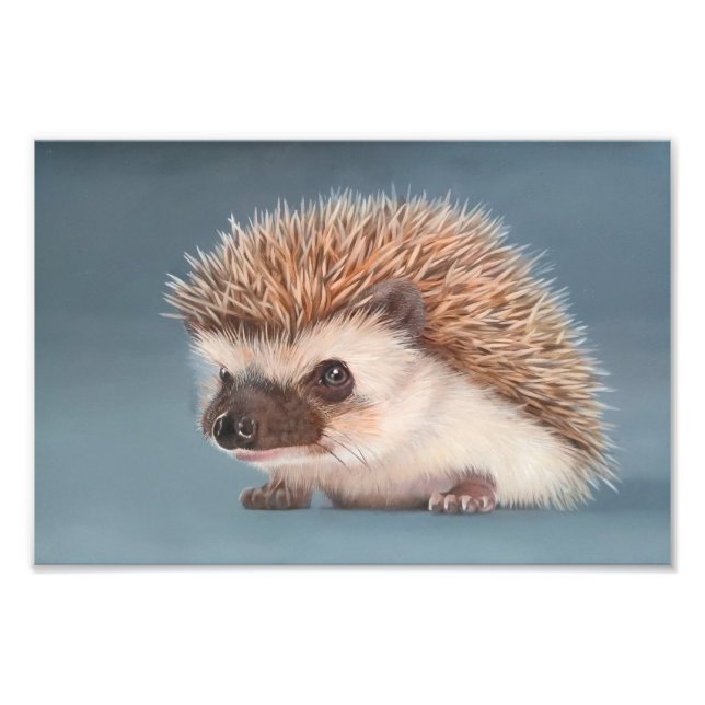 African Pigmy Hedgehog Poster (Front)
