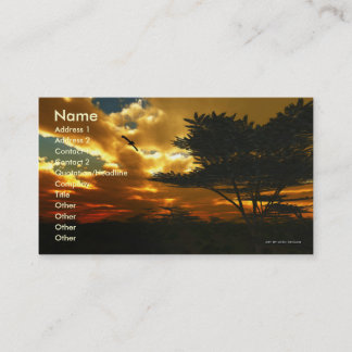 African Planes Business Card Template