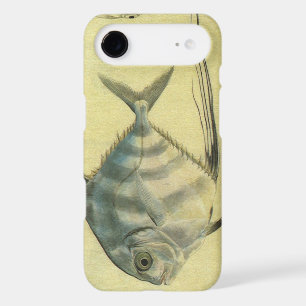 African Pompano Fish, Vintage Threadfin Trevally