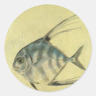 African Pompano Fish, Vintage Threadfin Trevally Classic Round Sticker