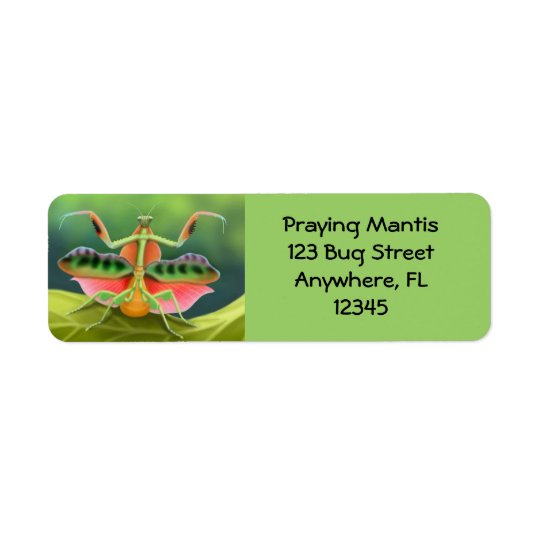 African Praying Mantis Label Return Address Label