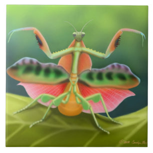 African Praying Mantis Tile
