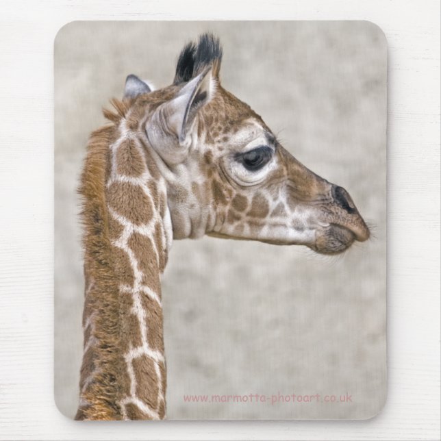 African Prince Mousemat (Front)