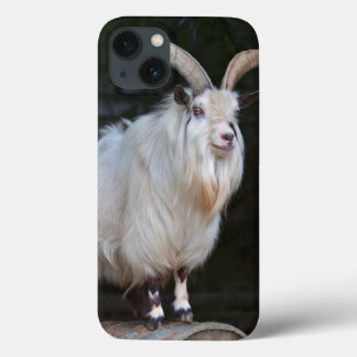 African Pygmy Goat iPad Case