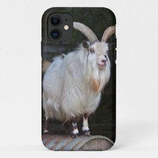 African Pygmy Goat iPhone 5 Case