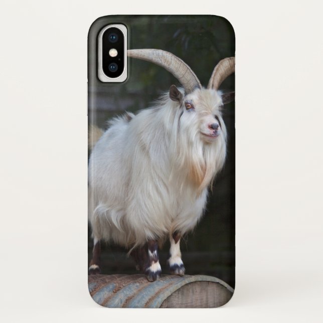African Pygmy Goat iPhone X Case (Back)