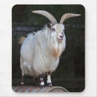 African Pygmy Goat Mousemat