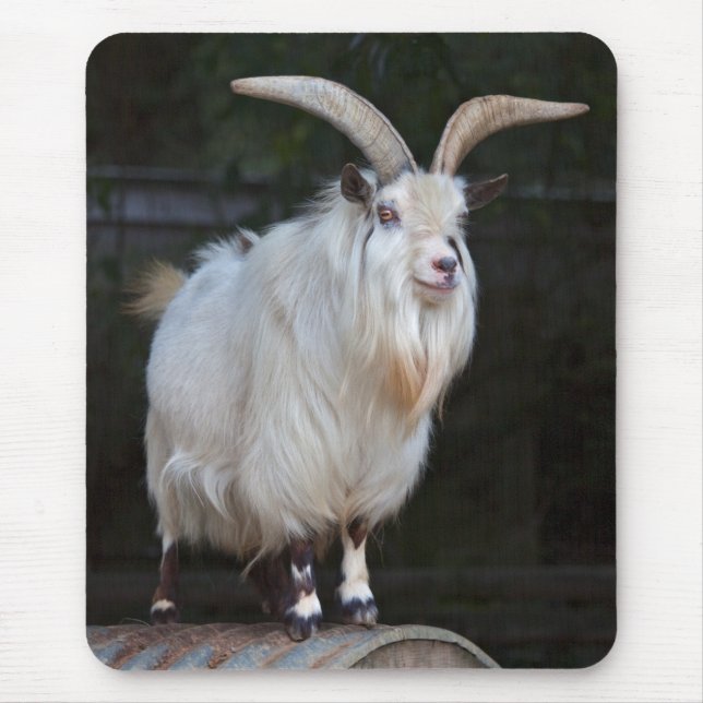 African Pygmy Goat Mousemat (Front)