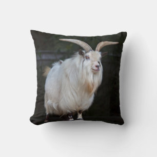 African Pygmy Goat Pillow