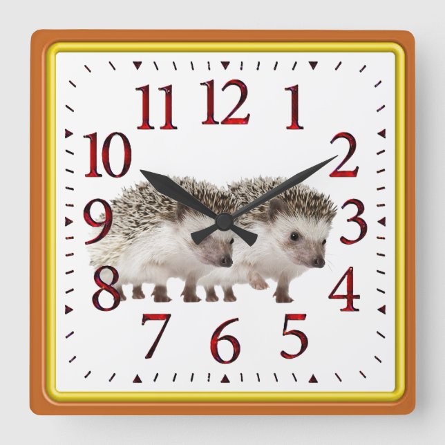 African Pygmy Hedgehogs Square Wall Clock (Front)