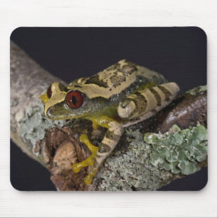 African Red Eye Treefrog, Leptopelis Mouse Mat