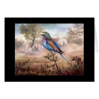 African Roller