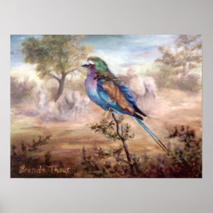 African Roller Poster
