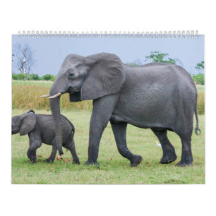 African Safari Calendar