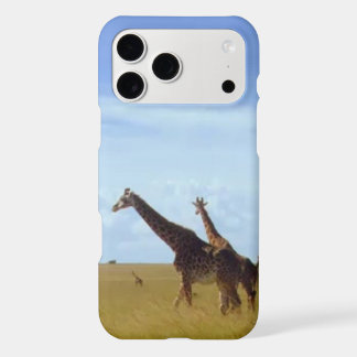 African Safari Giraffes
