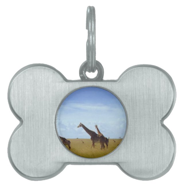African Safari Giraffes Pet ID Tag (Front)