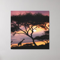 African Safari Landscape At Sunset Canvas Print