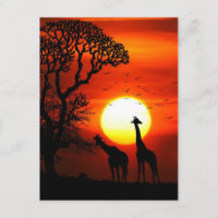 African Safari Sunset Giraffe Silhouettes