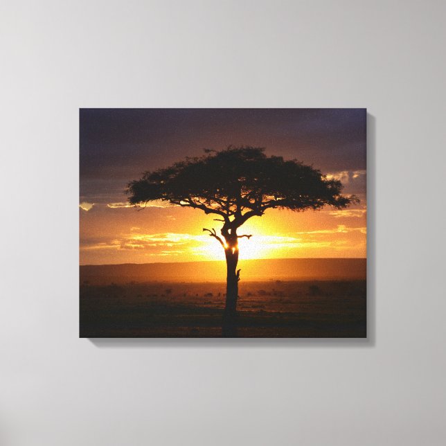 African Safari Sunset Stretched Canvas Print (Front)