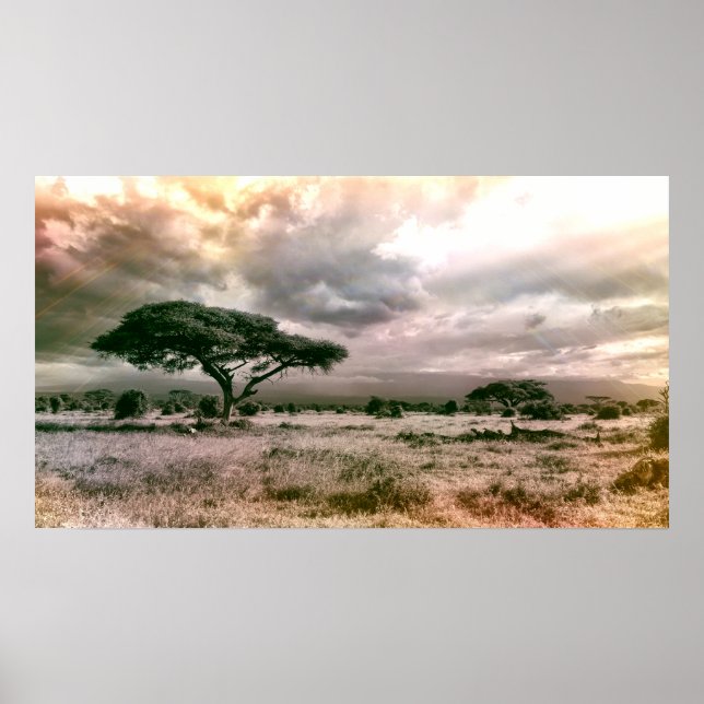 African Sahara Serengeti Savannah National Park Poster (Front)