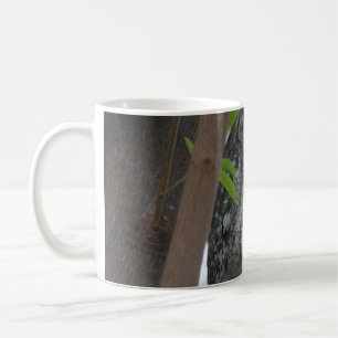 African Scops owl Coffee Mug