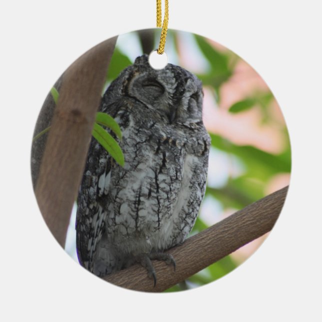 African Scops owl sleeping in a tree Ceramic Tree Decoration (Front)