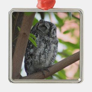 African Scops owl sleeping in a tree Metal Tree Decoration