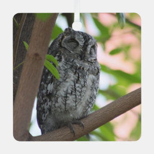 African Scops owl sleeping in a tree Metal Tree Decoration