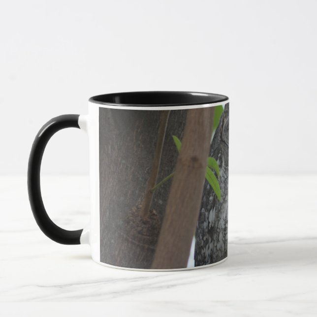 African Scops owl sleeping in a tree Mug (Left)