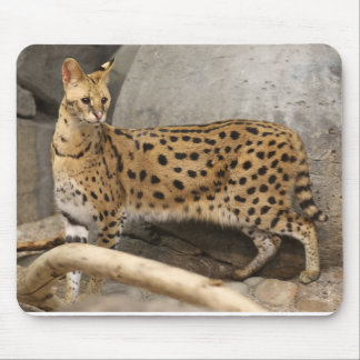 African Serval Stylish and functional Mouse Mat