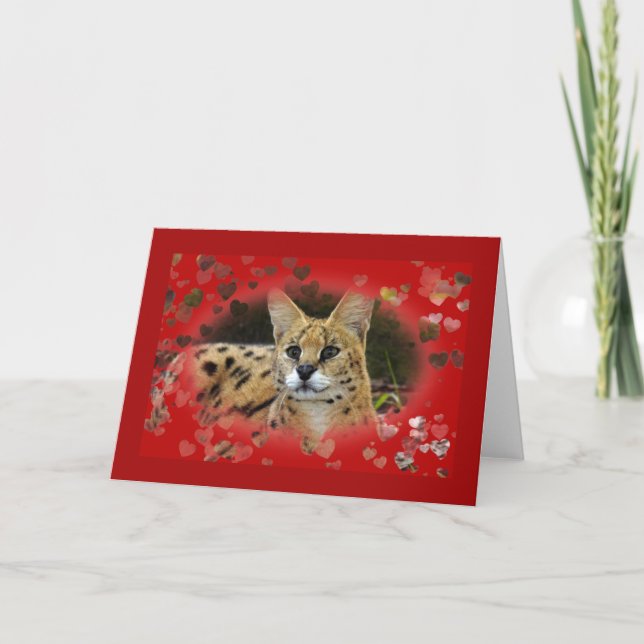 African Serval Valentine Greeting Card & Note Card (Front)