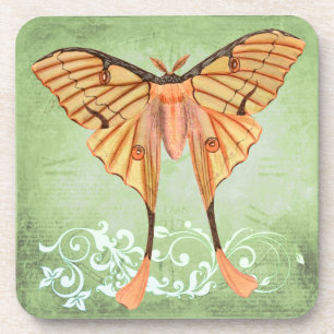 African Silk Moth Coaster