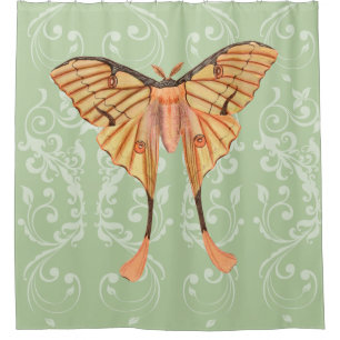 African Silk Moth Shower Curtain